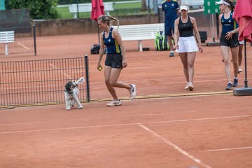 Bild 151 - BL2 THC von Horn und Hamm - Der Club an der Alster : Ergebnis: 0:9